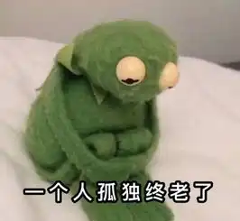 我想我这辈子可能要一个人孤独终老了
