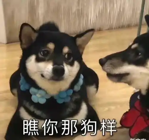 网友日常无用节俭行为,哈哈哈,赔本的买卖咱没少干啊
