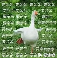 史上最没节操的真心话大冒险哈哈哈太丧心病狂了
