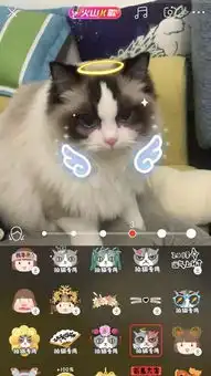 天啦噜这些人脸被识别成了猫,这些猫脸被识别成了人

