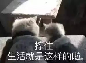被全网心疼的神仙妹妹居然辍学当快手网红了这个节目到底害了多少人
