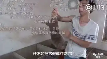 笑到泪奔漂亮抑郁中暑竹鼠养殖表情包上热搜
