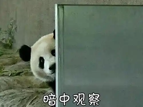 期待已久深圳这个市级公租房好消息终于来啦附近有两个地铁站
