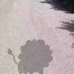 表情包晒出原形表情包
