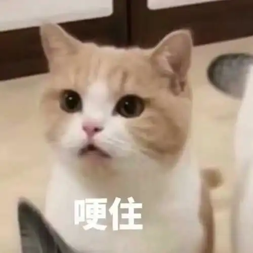 有哪些微信聊天的可爱小表情动图

