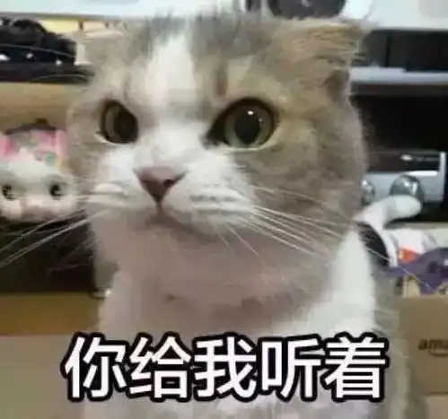 还在找工作创业小鸟带你飞快来看看有没适合的岗位
