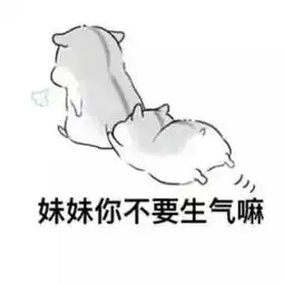 可爱仓鼠兄妹表情包
