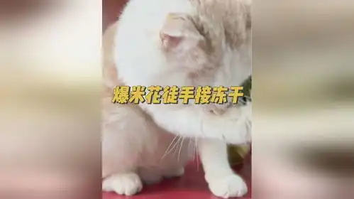 谁家小猫馋到咽口水还徒手接冻干啊
