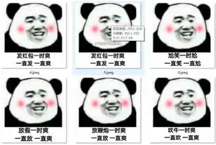 一时爽一直爽表情包最新下载一时爽一直爽什么梗高清版软件下载
