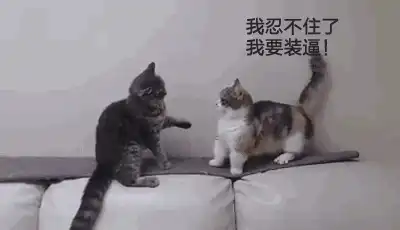 爆笑表情包我噬元兽不发飙你以为我是橘猫
