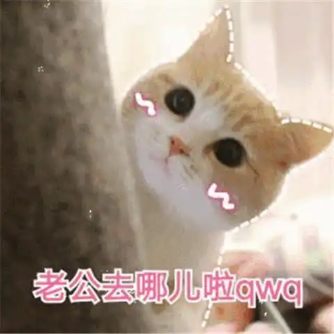 表情表情包抢老公大赛小海豹翻滚式撒娇,猪猪嘟嘴,小奶猫qwq表情

