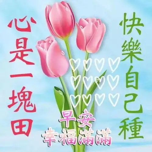 微信早上好图片大全微信早上好图片表情
