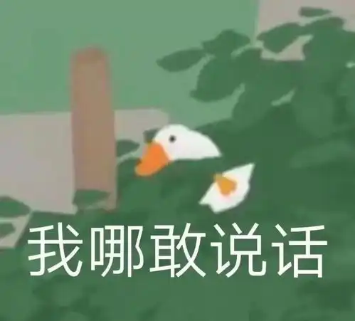 适合冲浪女孩儿用的表情包
