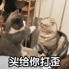 趣味好玩表情包大全
