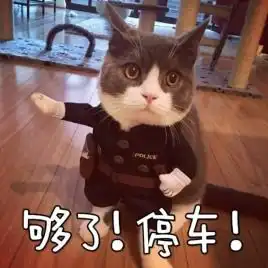 车圈6万元就能买到特斯拉大屏低配版
