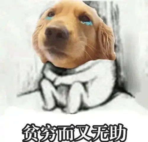 秋冬外套买哪家别对比了,物美价廉的我都帮你选好了
