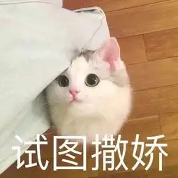 搞笑的表情包紧紧抱住腾讯网qq.com

