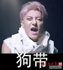 fb表情包大战黄子韬功不可没远征君还开了斗鱼直播