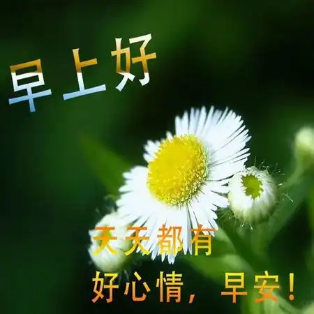 早上好最新图片带字的祝福语2021最新版早上好祝福图片