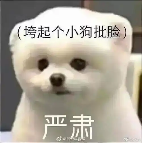 哈士奇插件不能用了京东国庆申诉时效更新,双11大促启航数据连涨
