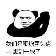 表情包舔狗从不流露悲伤
