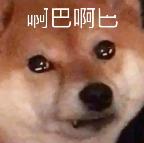 沙雕表情申请加入你的被窝
