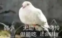 人类屠夫两不误
