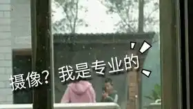 老许你要老婆不要
