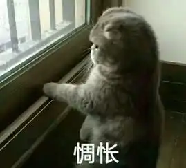 感动的稀里哗啦