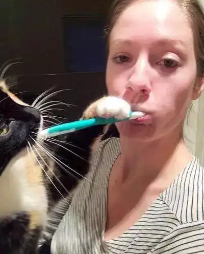 哪个瞬间让你觉得猫咪很可爱
