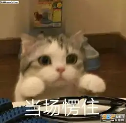 这帮人都不用谈恋爱的吗图片少冲浪多读书表情包下载乐游网游戏下载
