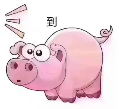 吃屎粉红猪表情包大全
