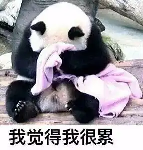 会说话的人工智能耳机,我好像恋爱了...
