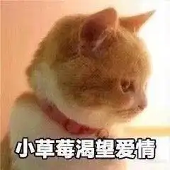 斗图表情包你过来,我有恋爱想跟你谈
