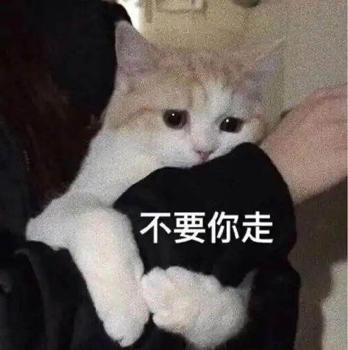 可爱仙女表情包亲亲这边建议你中意我一下
