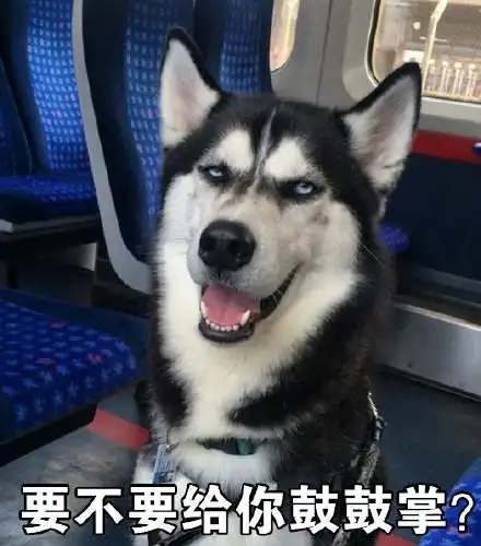 哈士奇表情包带字表情包
