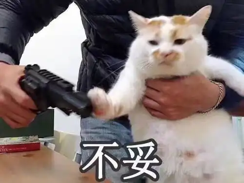 加拿大求职101多大麦马的同学不得不知道的那些事...

