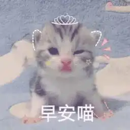 华立趣事宿舍各种奇葩闹铃,你有这样的舍友吗
