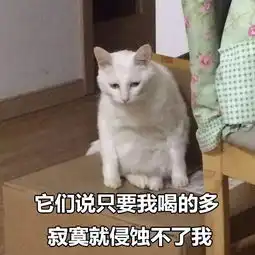 看完这组猫咪表情包后,我哇的一声哭了出来...搜狐宠物搜狐网
