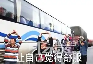 不如跳舞表情包国乒
