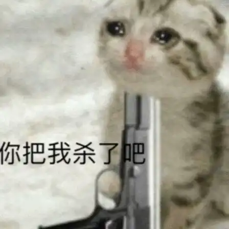 表情包丑丑的我也想要哥哥
