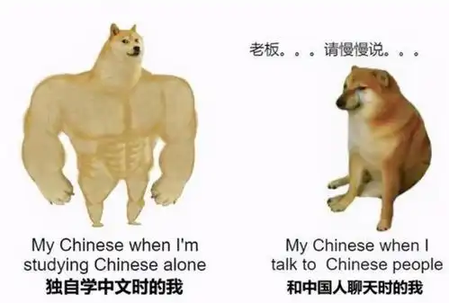 外国人用梗图吐槽中文难学,隔着屏幕感受到绝望,像极学英语的我