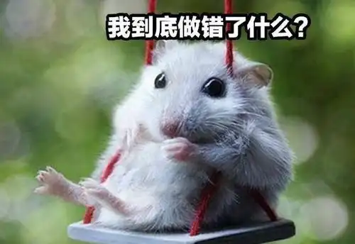 猫头鹰要孵蛋,雄鹰得知每日送饭,隔着屏幕女同胞都不淡定了
