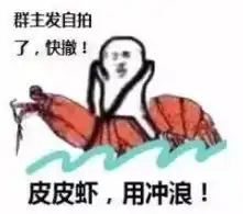 皮皮虾用冲浪搞笑表情包合集皮皮虾用飞天花样表情包下载腾牛下载
