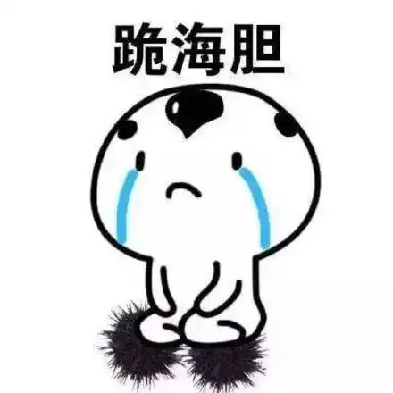 周末活动
