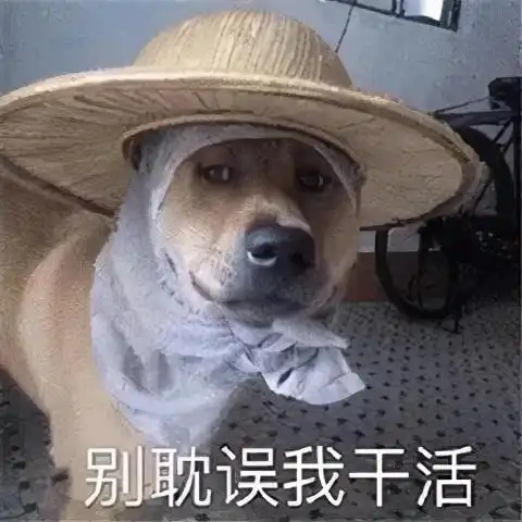热图打工人表情包你以为我高冷不回信息,其实我是在厂里加班
