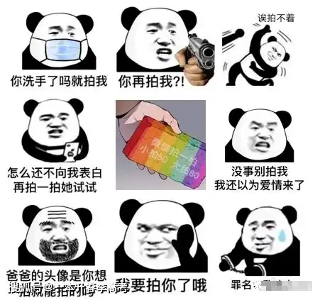 哈哈哈微信拍一拍还能这么玩,优秀的网友们都玩坏了

