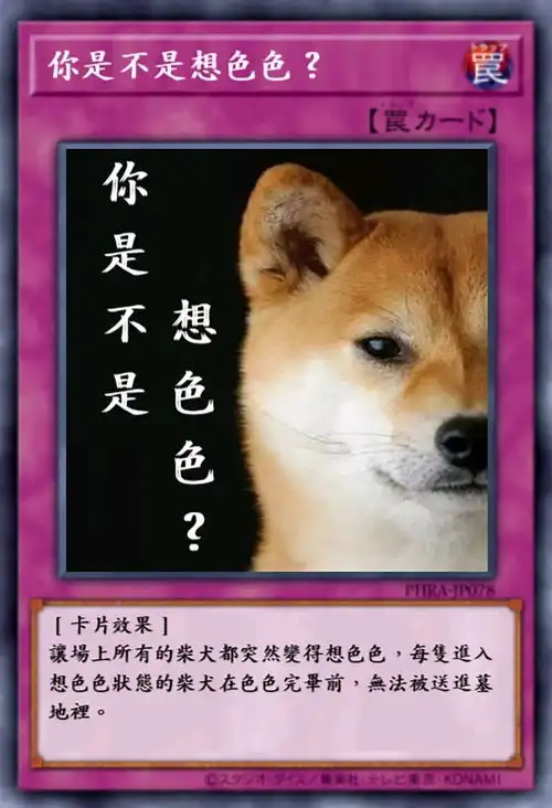 狗子表情包出处站名