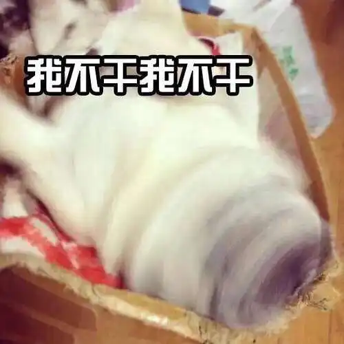 求推荐好看实用的眼镜盒

