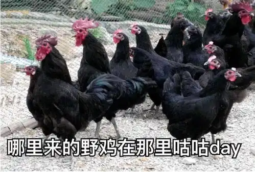 有哪些你见过最恶毒的表情包
